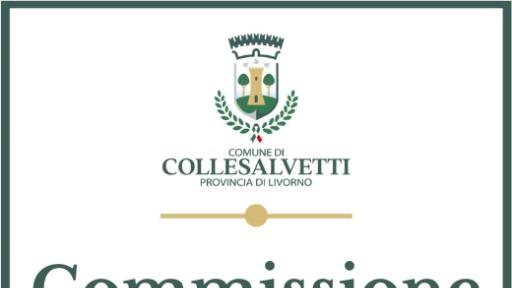 Video '1^ Commissione Consiliare permanente' - 21 MAY 2026