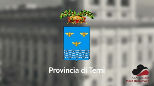 Video 'Consiglio del 25/05/2026' - 25 MAY 2026