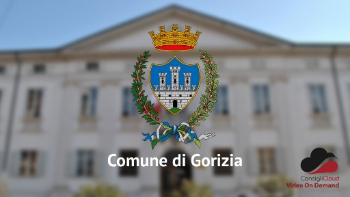 Video 'Consiglio del 04 maggio 2026' - 04 MAY 2026